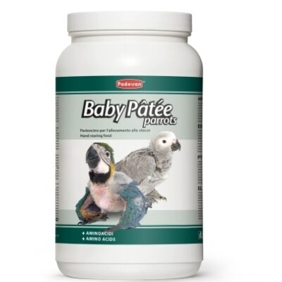 Baby Patee Parrots