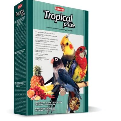 Tropical Patee
