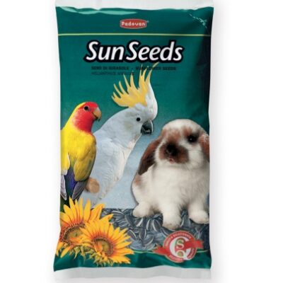 Sun Seeds Girasole Medio
